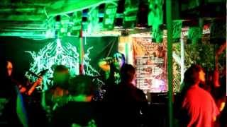 Ancient Malus - Echoes From The Void