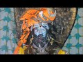 Hari Om Har Har Mahadev Shiv Shambhu Tripurari Song Mahakal Mahadev