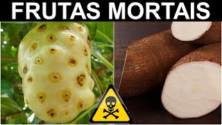 AS 20 FRUTAS MAIS PERIGOSAS DO MUNDO! CUIDADO ELAS SÃO MORTAIS! 4K