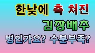 [텃밭농부.773]  낮에 축 쳐지는 김장배추 병인가? 수분부족인가? #배추재배