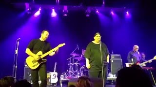 AFTERNOON TEA (The Smithereens)