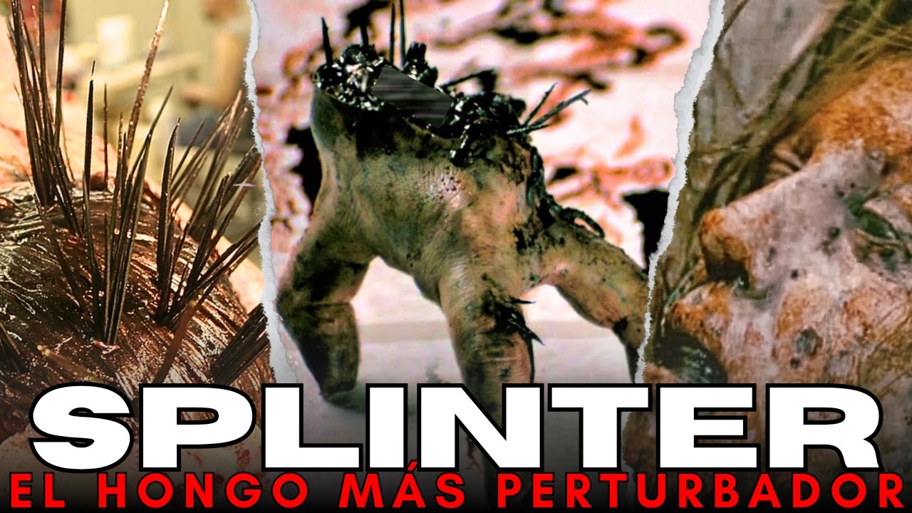 ▶ La Brutal Biología de las Criaturas de Splinter