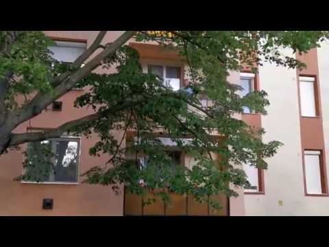 Erkélykoncert 2020.05.30.