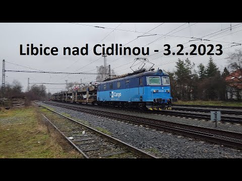 Deštivé šocení v Libicích nad Cidlinou dne 3.2.2023