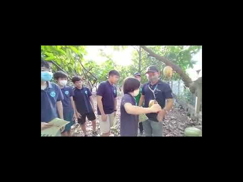 Japanese students visit and experience making Chocolate at Binon Cacao