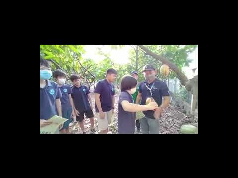 Japanese students visit and experience making Chocolate at Binon Cacao