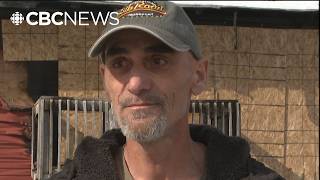 Fire destroyed this N.L. family's home. Now they can’t get emergency housing because they have a dog