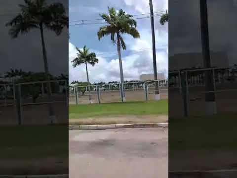 Fábrica Fortaleza. Dias Branco. Eusébio, Ceará, Brasil. Jan. 2026. #brasil #brasile #ceara #eusebio