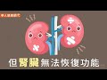 【影音版】保腎等於保命！養腎10招快筆記！