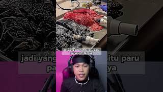 Download lagu This is what healthy and sick lungs look like π± #shorts mp3 Download lagu This is what healthy and sick lungs look like π± #shorts mp3