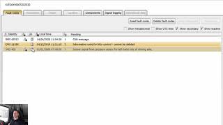 What are active, inactive, primary and secondary fault codes?