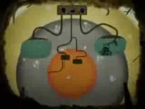 Humans: The Earth's Parasites