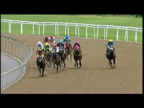 20201115 Hollywoodbets Greyville express clip Race 1 won by SWEETSCENTEDGREEN