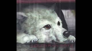 heaven's not enough (feat. steve conte) - Wolf's Rain OST 2 - Yoko Kanno