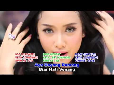 GOYANG DUMANG   CITA CITATA OFFICIAL MUSIC VIDEO   MP3 Download STAFA Band1