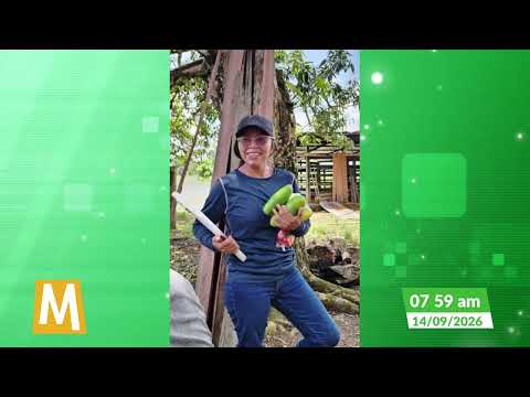 Reportan desaparición de ingeniera agrónoma vinculada a procesos comunitarios en Calamar, Guaviare