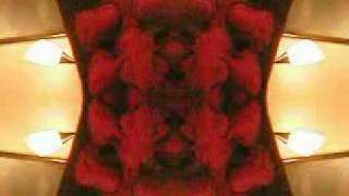 THE LEGENDARY PINK DOTS - Neon Gladiators