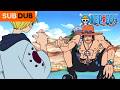 Ace Meets Luffy S Crew One Piece