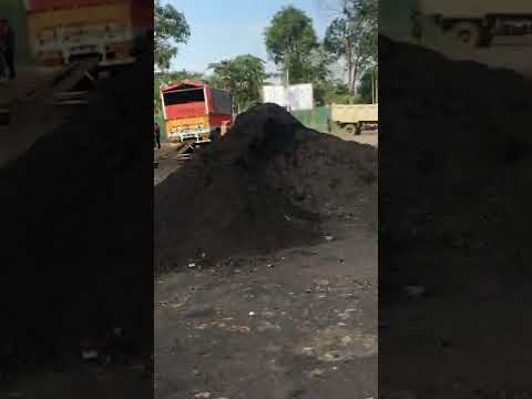 Assam Coal / G1 - G7 Coal Available