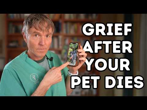 Grief After Your Pet Dies: What You Can Do
