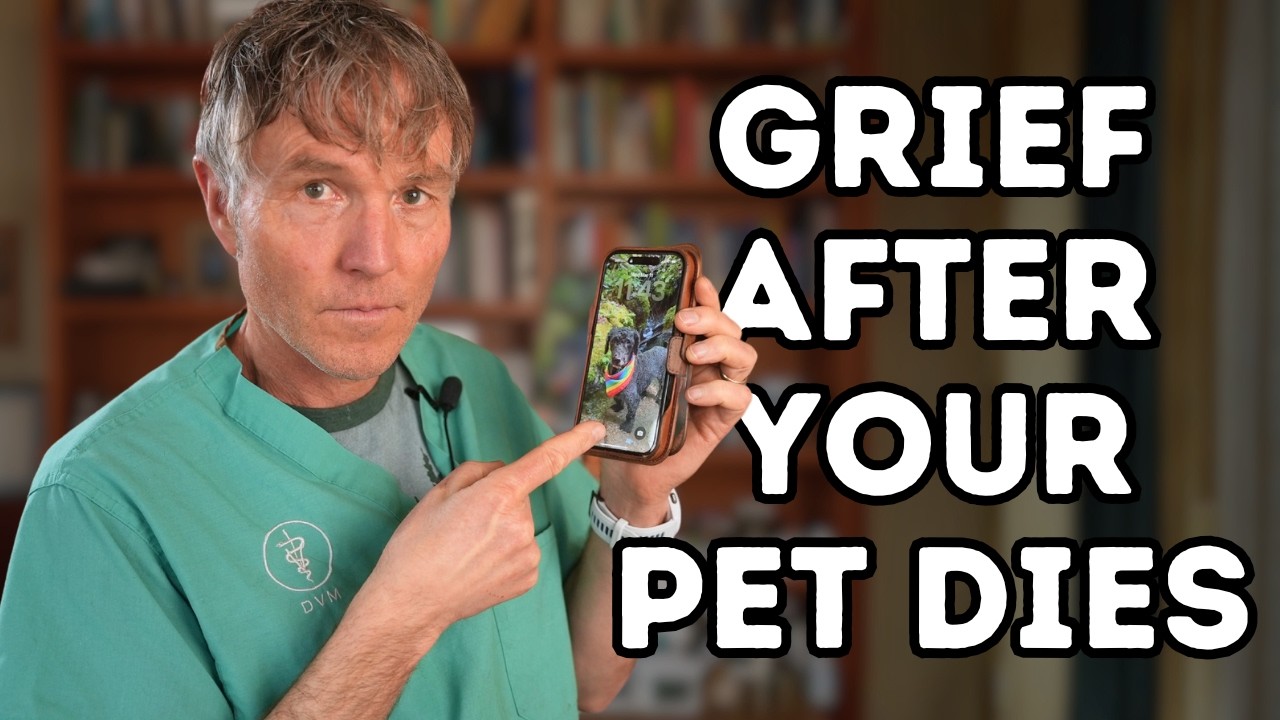 Grief After Your Pet Dies: What You Can Do