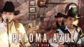 CARLOS Y JOSE JR FT CENTELLAS DE NUEVO LEON - PALOMA AZUL (EN VIVO)