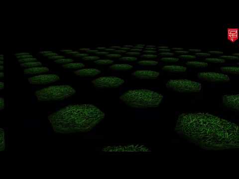 DirectX 11 Engine Showcase