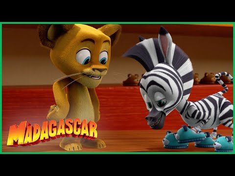 Capa de Madagascar: Pequenos Selvagens | Marty Anda nas Nuvens | Desenhos Animados em Português
