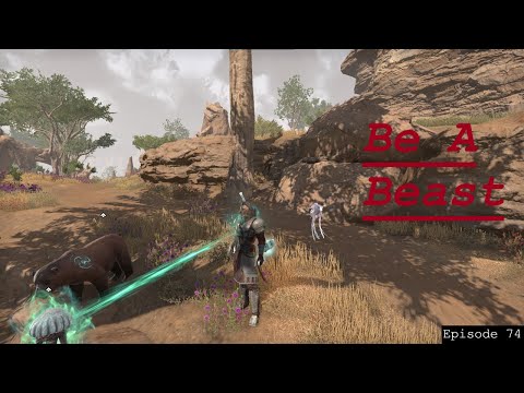 Understanding Nature - A Comprehensive Overview of The Warden Class and its Potential