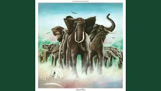 Elvis Costello - Green Shirt  432Hz  (lyrics in description)