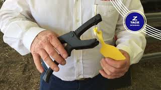 How to apply Z Tags One Piece Feedlot Tags