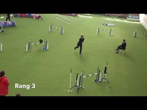 2.3.2019 Agility Wettkampf Kaiseraugst