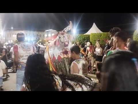 Boi-malhado, Rio Novo, 2026