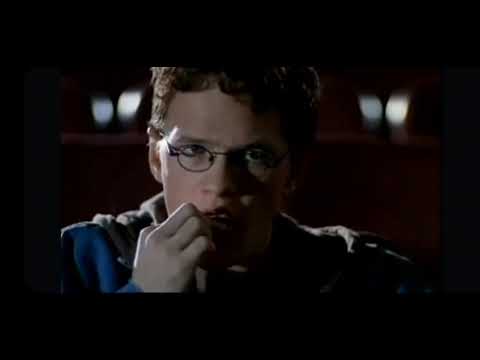 The Animal Room 1995