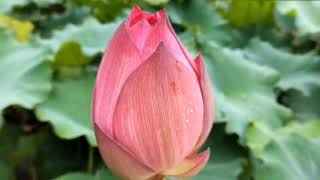 开心过好每一天