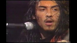 1994 - Kreator, Korzus, P.U.S., Volkana, Krisiun, The Mist