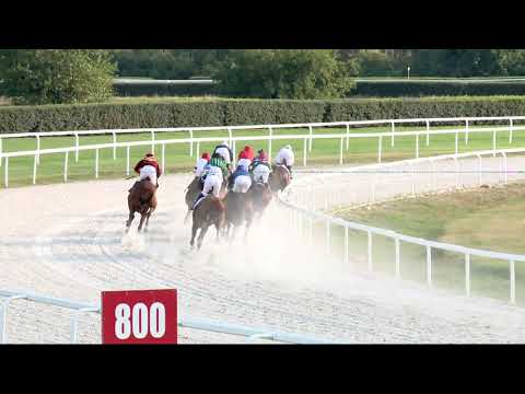 2019.09.08. 08. futam - TÁPIÓSZENTMÁRTONI HENDIKEP (V.o.) (szintetikus pálya)