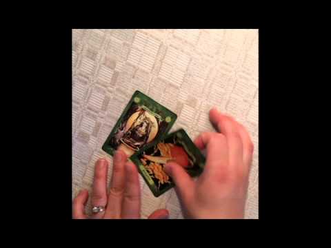 Gulveig example of play