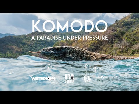 Thumbnail for video: Komodo: A Paradise Under Pressure (360 VR Trailer - Out Now!)