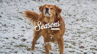 Vallis Alps - So Settled