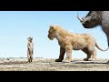 Hakuna Matata HD TAMIL Song