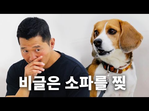 우울할때 주로 보는 유튜브