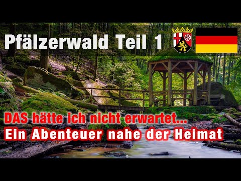 Exploring the Palatinate Forest Part 1 - An adventure close to home