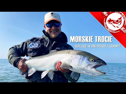 Sea Trout - why and how do we catch them?