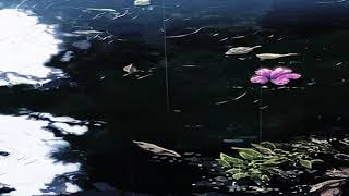 Black Atlass - Shadows [8D AUDIO]