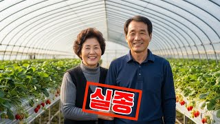 Download lagu 딸기농장 여사장 실종. 2년 후 밝혀진 추악한 진실. 탐욕과 배신, 그리고 거짓. 그날 밤, 두 남자가 무엇을 옮긴 것일까? mp3