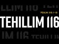 A Reading from Tehillim 116 (Verses 1-10) — Psalm 116