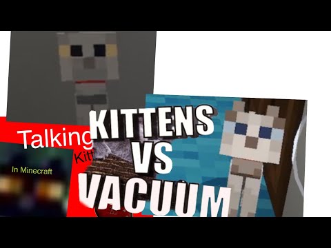 Talking kitty cat in Minecraft-49 Kittens vs vacuum