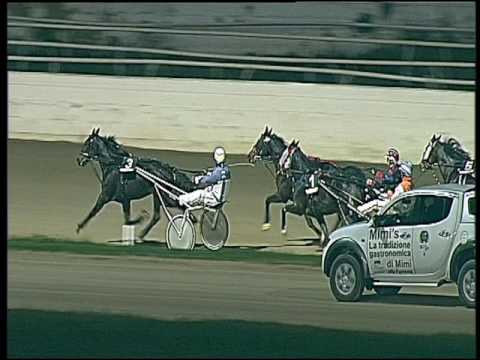 Trotto 02/12/2016 - 8ª corsa