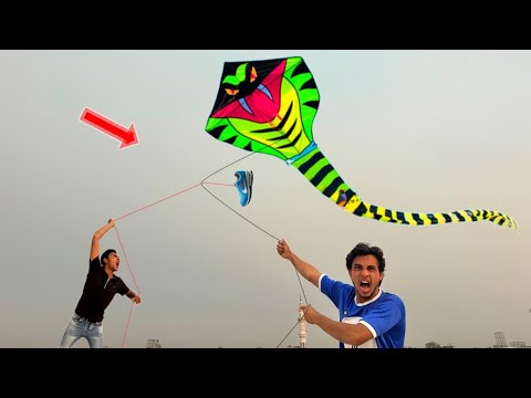 New Cobra Kite Buy & Cobra Kite Flying Nasir 